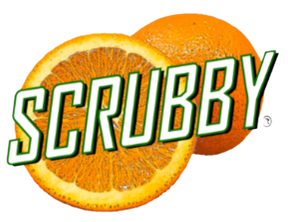 Scrubby Soap